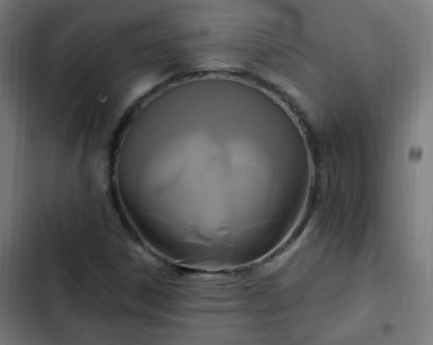 X0000103131306200808291307