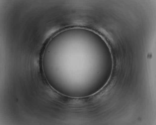 X0000103131307200808291307