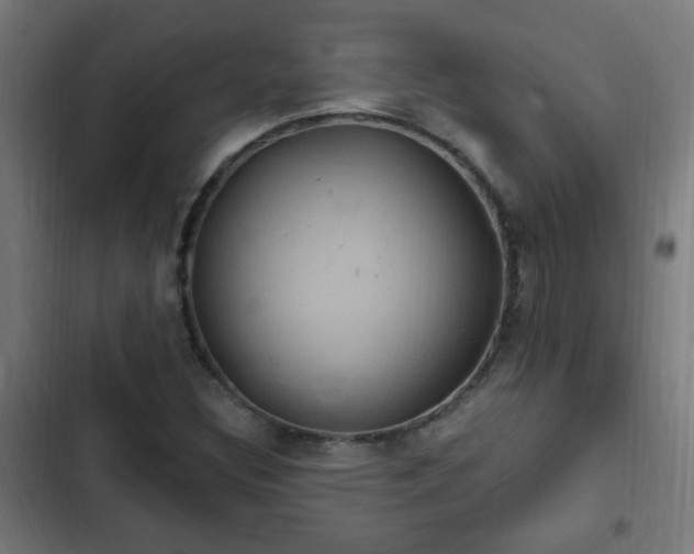 X0000103131308200808291307
