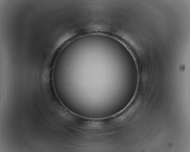 X0000103131309200808291307
