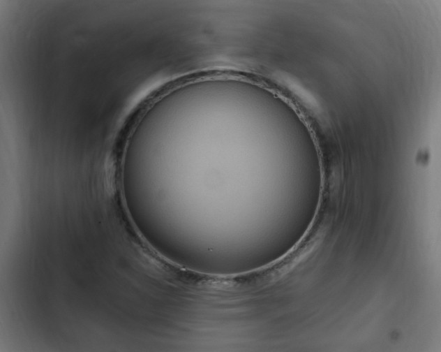 X0000103131310200808291307