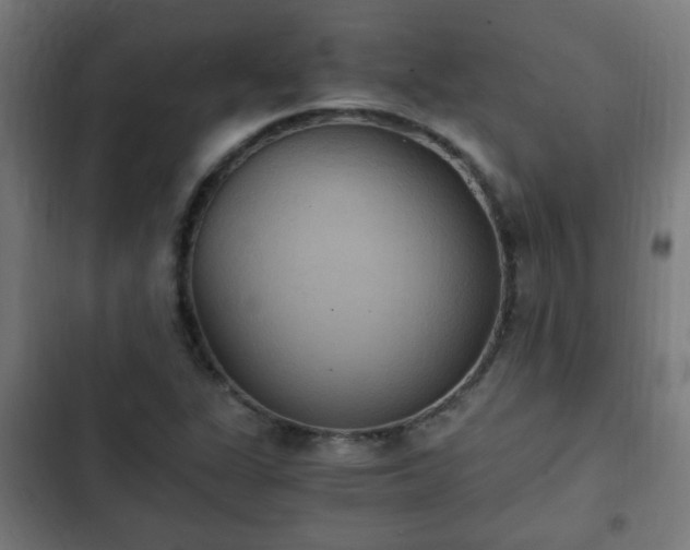 X0000103131311200808291307