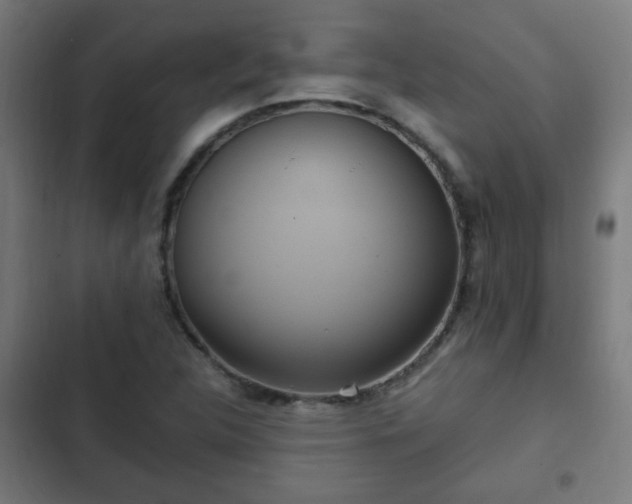 X0000103131312200808291307
