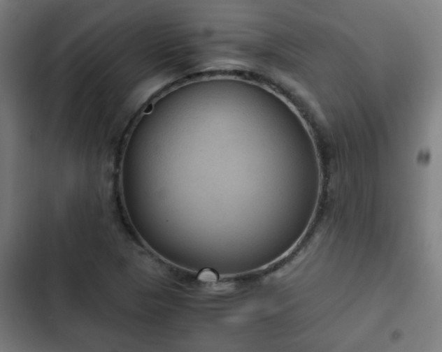 X0000103131313200808291307