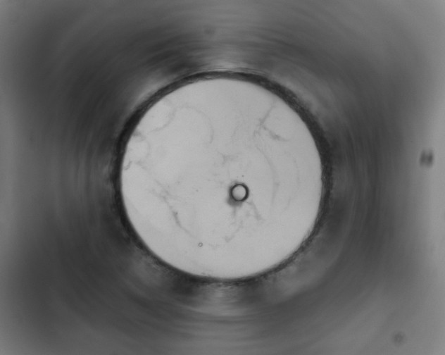 X0000103131314200808291307