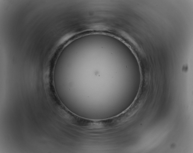 X0000103131315200808291307