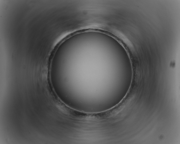 X0000103131316200808291307