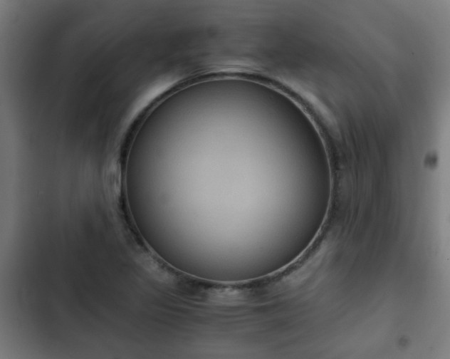 X0000103131317200808291307
