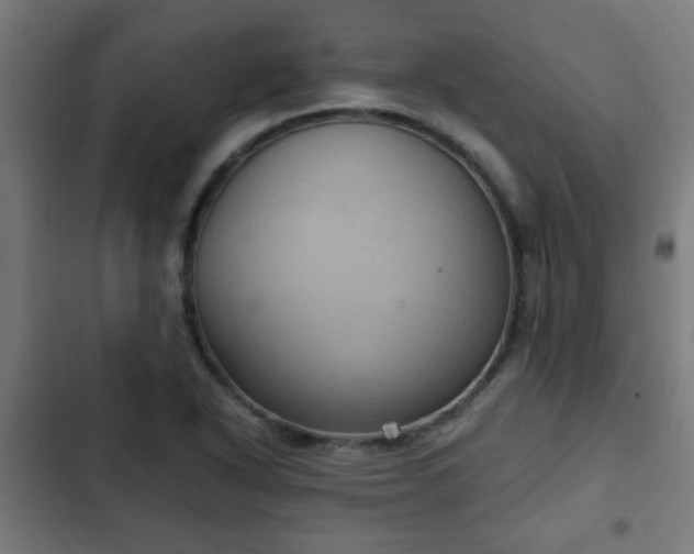 X0000103131318200808291307