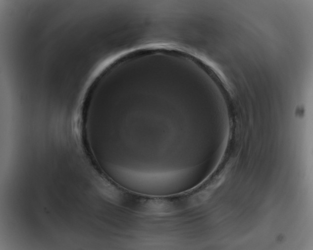 X0000103131319200808291307