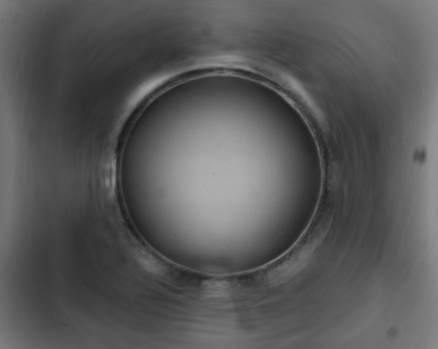 X0000103131320200808291307