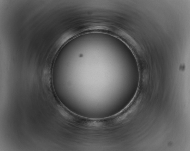 X0000103131321200808291307