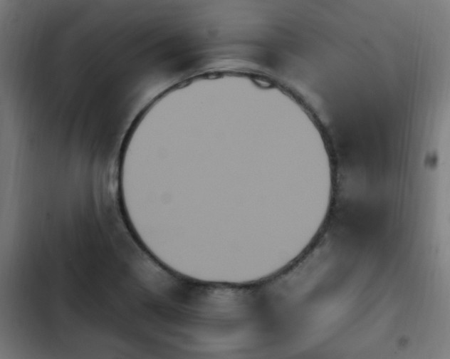 X0000103131322200808291307