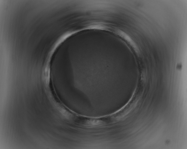 X0000103131323200808291307