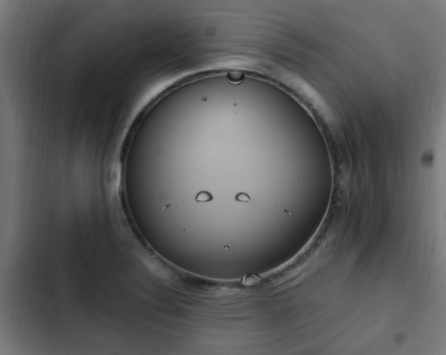 X0000103131324200808291307