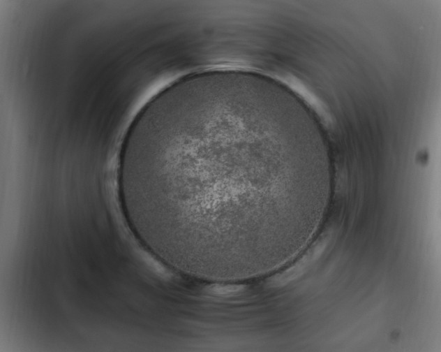X0000103131325200808291307