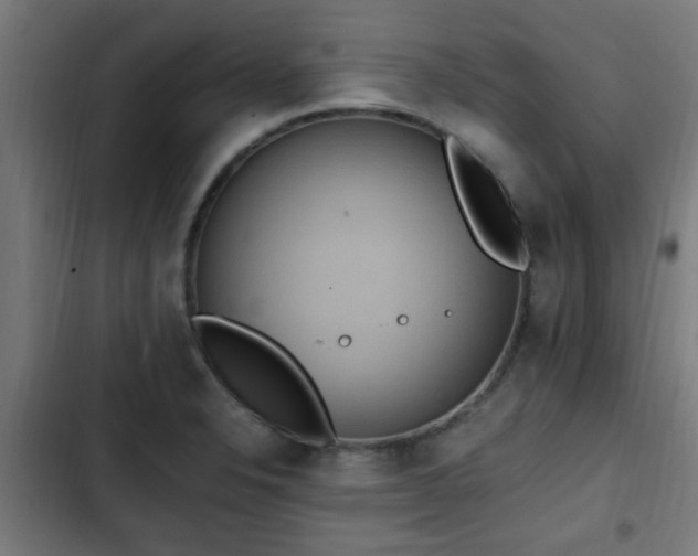 X0000103131326200808291307