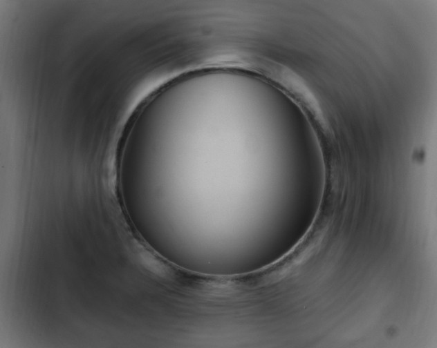 X0000103131328200808291307