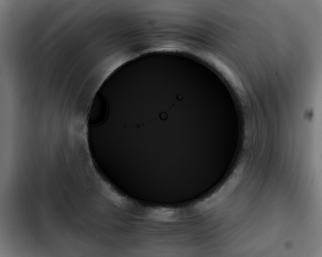 X0000103131329200808291307
