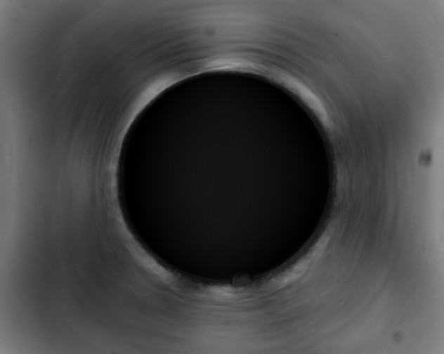 X0000103131330200808291307