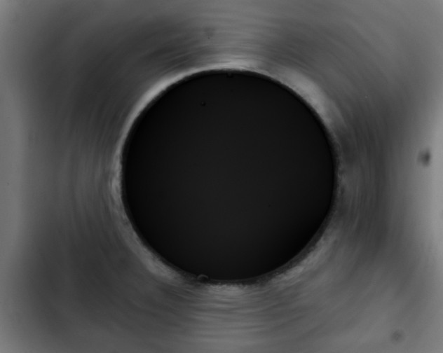 X0000103131332200808291307