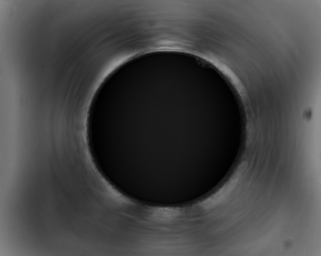 X0000103131333200808291307