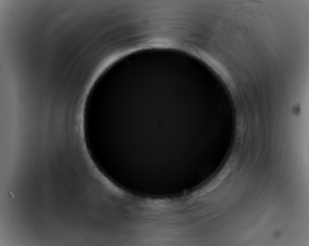 X0000103131334200808291307
