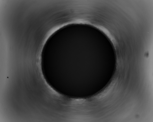 X0000103131335200808291307