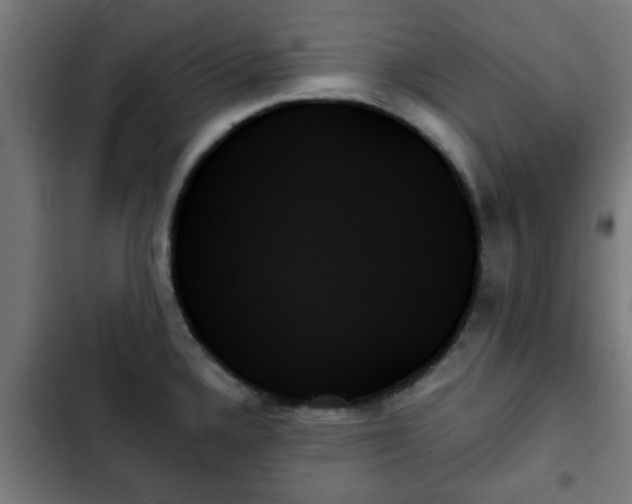 X0000103131336200808291307