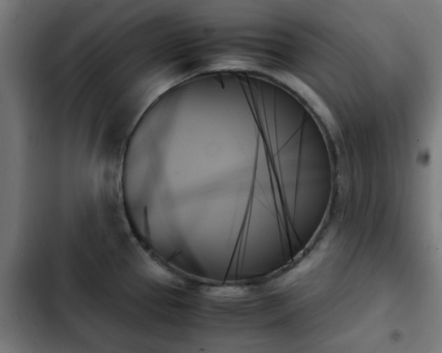 X0000103131337200808291307