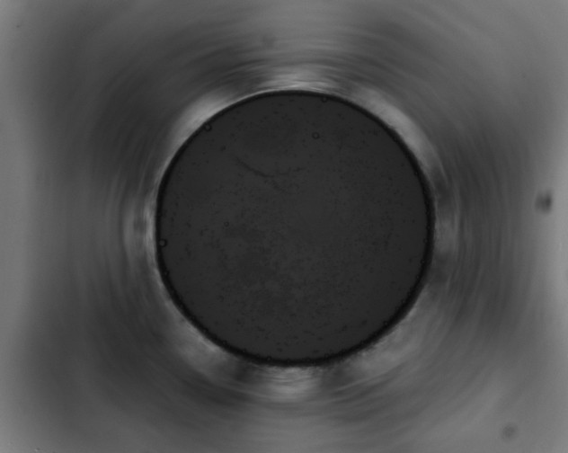 X0000103131338200808291307
