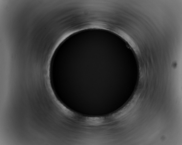 X0000103131339200808291307
