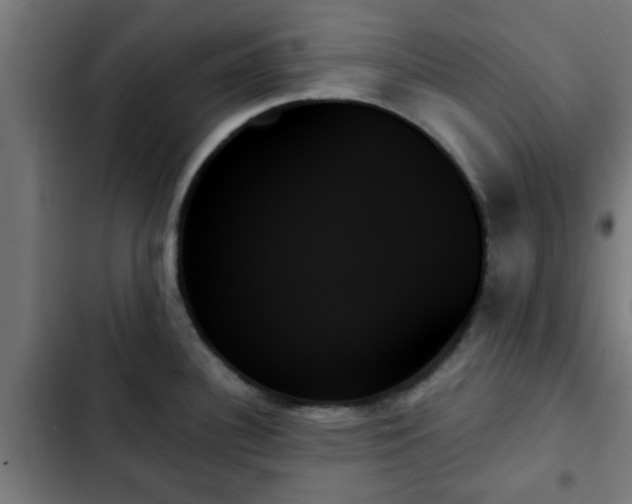 X0000103131340200808291307