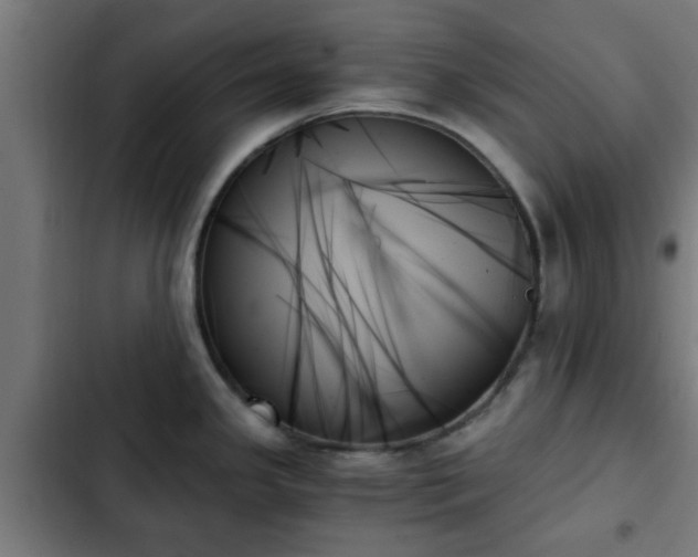 X0000103131341200808291307