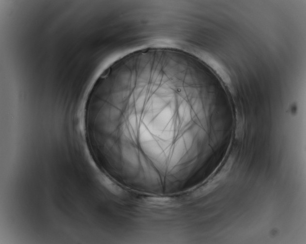 X0000103131342200808291307