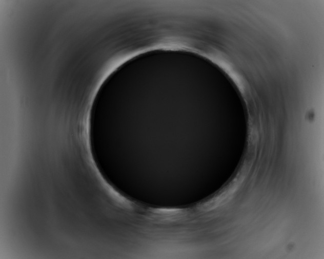 X0000103131343200808291307