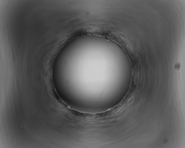 X0000103131345200808291307