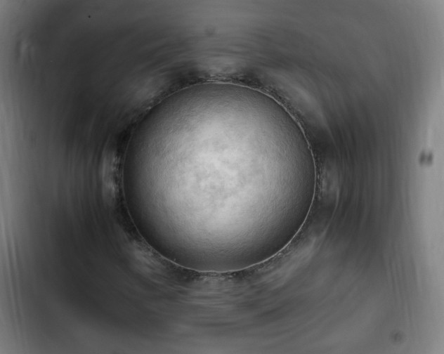X0000103131346200808291307