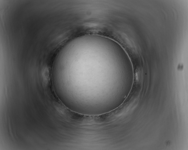 X0000103131347200808291307