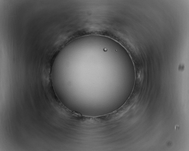 X0000103131348200808291307