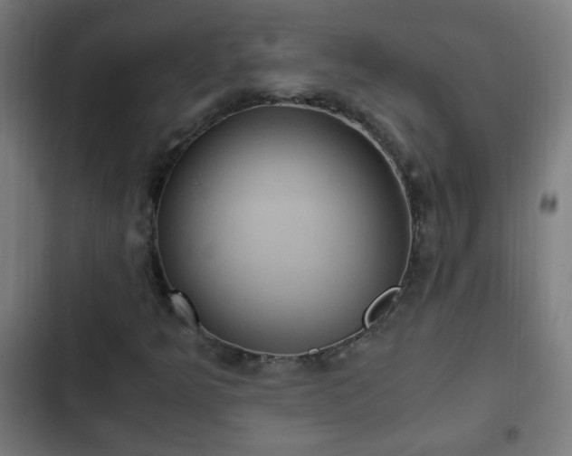 X0000103131349200808291307