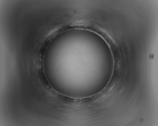 X0000103131350200808291307