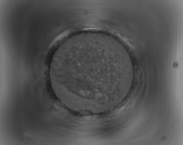 X0000103131351200808291307
