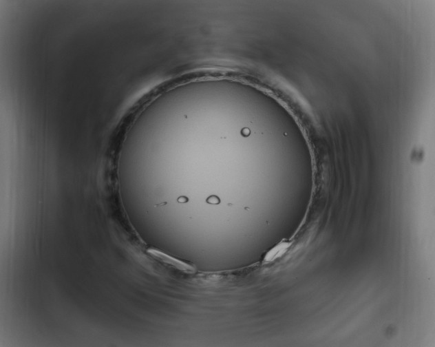 X0000103131352200808291307