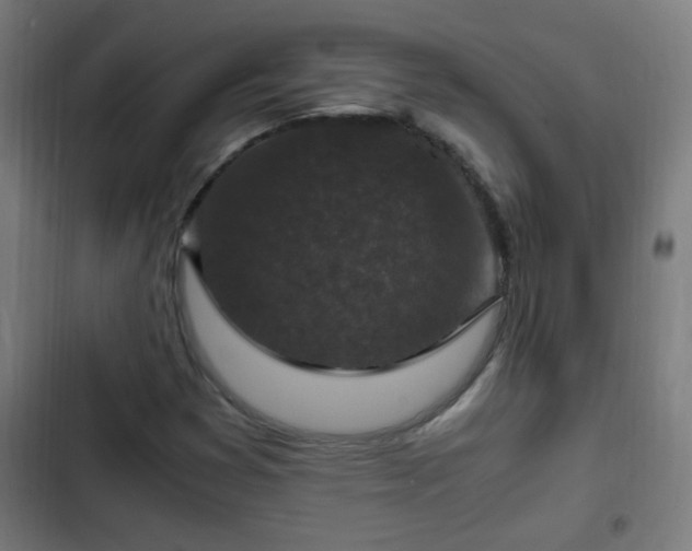 X0000103131353200808291307