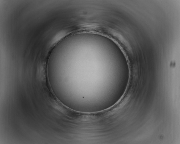 X0000103131354200808291307