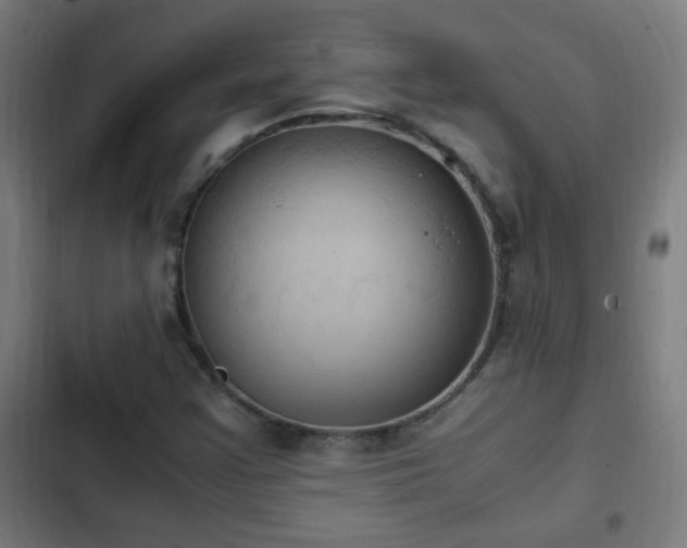 X0000103131355200808291307