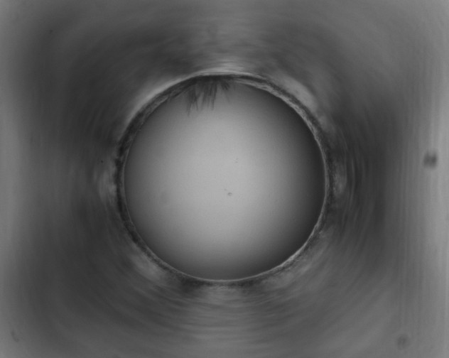 X0000103131356200808291307