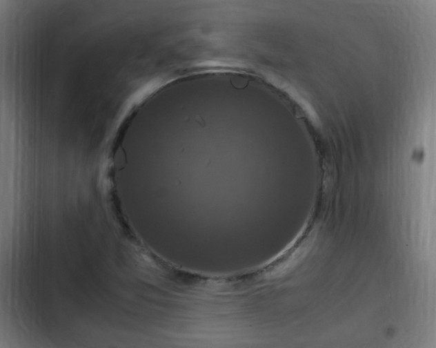 X0000103131357200808291307