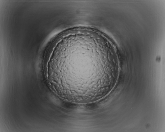 X0000103131359200808291307